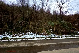 Парцел в Ловеч, с. Бели Осъм
