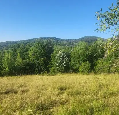 Photo 2 — Plot in Oblast Lovech, Belish