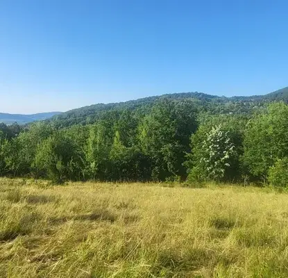Photo 3 — Plot in Oblast Lovech, Belish