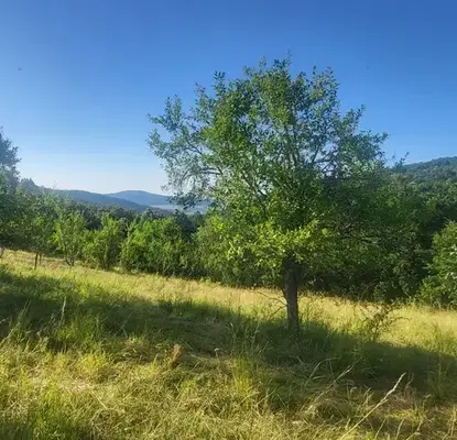 Photo 5 — Plot in Oblast Lovech, Belish