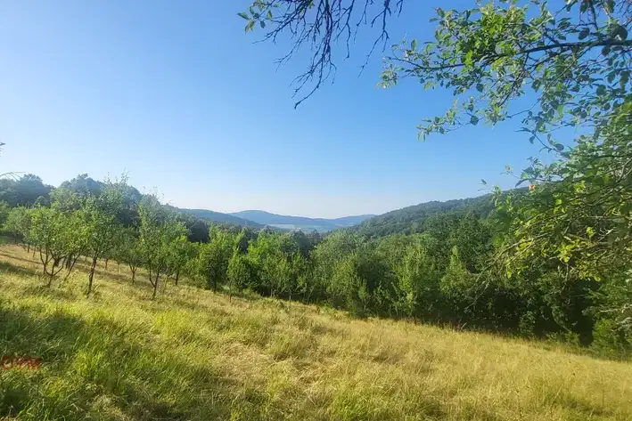 Plot in Oblast Lovech, Belish