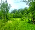 Снимка 2 — Парцел в Ловеч, с. Белиш