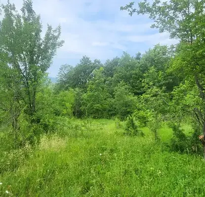 Photo 2 — Plot in Oblast Lovech, Belish