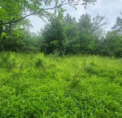 Photo 3 — Plot in Oblast Lovech, Belish