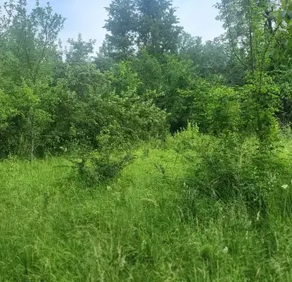 Photo 4 — Plot in Oblast Lovech, Belish