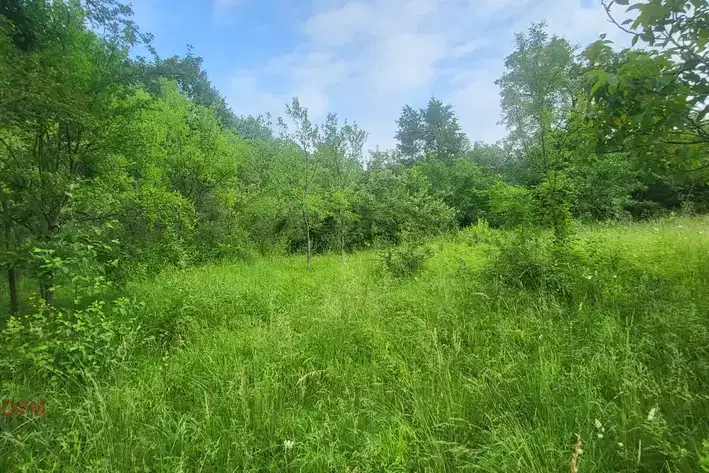 Plot in Oblast Lovech, Belish