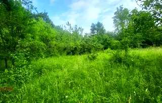 Парцел в Ловеч, с. Белиш