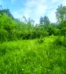 Парцел в Ловеч, с. Белиш