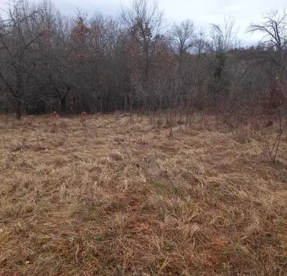 Photo 3 — Plot in Oblast Lovech, Belish