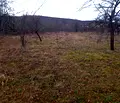 Снимка 4 — Парцел в Ловеч, с. Белиш