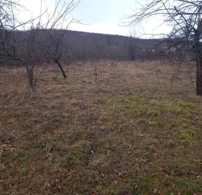 Photo 4 — Plot in Oblast Lovech, Belish