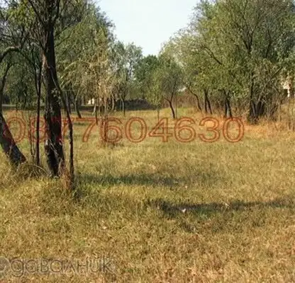 Photo 5 — Plot in Oblast Lovech, Borima