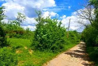 Парцел в Ловеч, с. Брестница