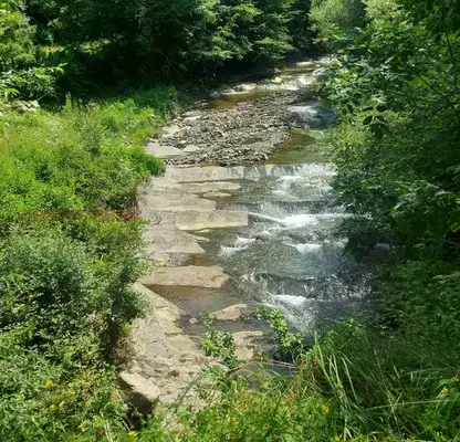 Photo 3 — Plot in Oblast Lovech, Cherni Osym