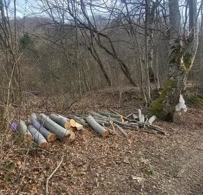 Photo 3 — Plot in Oblast Lovech, Cherni Osym