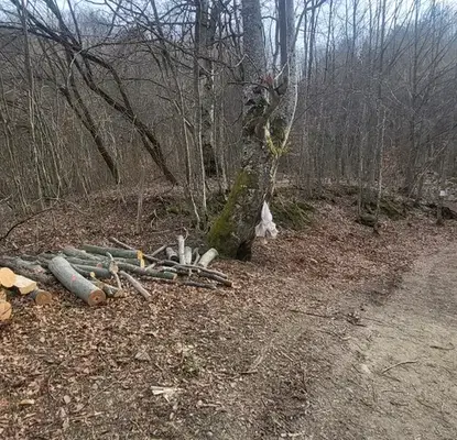 Photo 4 — Plot in Oblast Lovech, Cherni Osym
