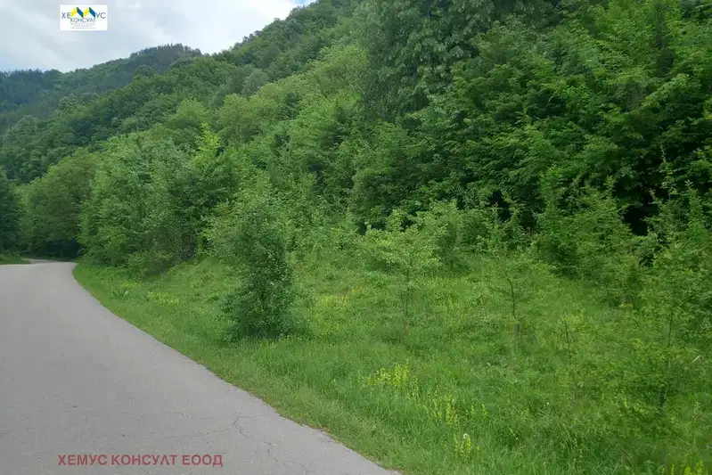 Plot in Oblast Lovech, Cherni Osym