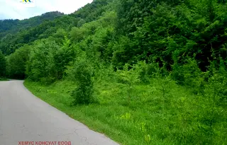 Парцел в Ловеч, с. Черни Осъм