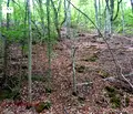 Снимка 3 — Парцел в Ловеч, с. Черни Осъм