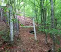 Снимка 4 — Парцел в Ловеч, с. Черни Осъм