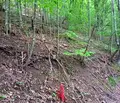 Снимка 5 — Парцел в Ловеч, с. Черни Осъм