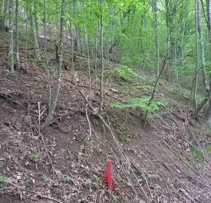 Photo 5 — Plot in Oblast Lovech, Cherni Osym