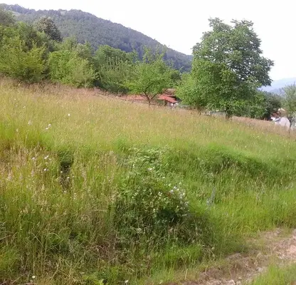Photo 3 — Plot in Oblast Lovech, Cherni Vit