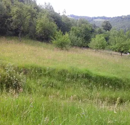 Photo 4 — Plot in Oblast Lovech, Cherni Vit