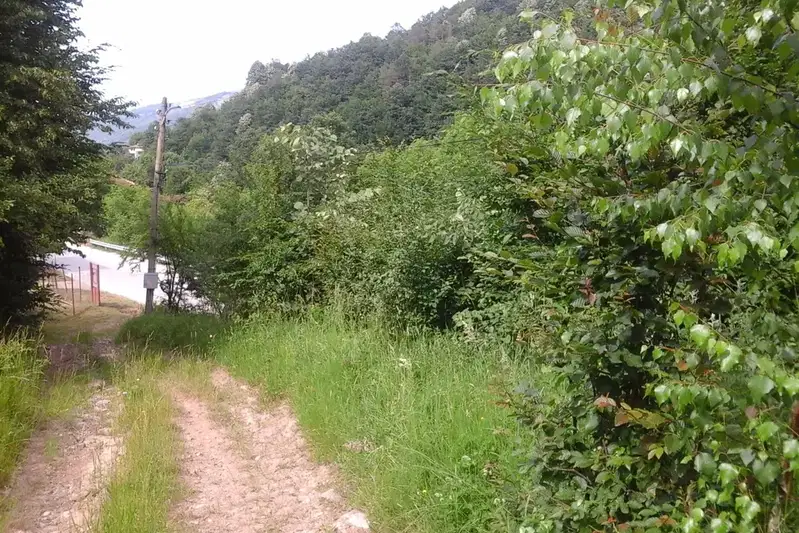 Plot in Oblast Lovech, Cherni Vit