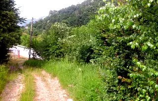 Парцел в Ловеч, с. Черни Вит