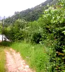 Парцел в Ловеч, с. Черни Вит