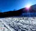 Снимка 4 — Парцел в Ловеч, с. Чифлик