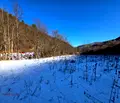 Снимка 5 — Парцел в Ловеч, с. Чифлик