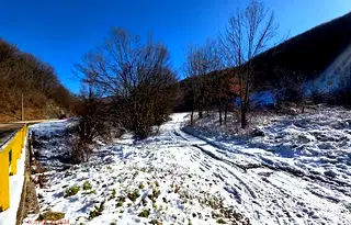 Парцел в Ловеч, с. Чифлик