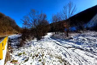 Парцел в Ловеч, с. Чифлик