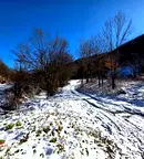 Парцел в Ловеч, с. Чифлик
