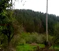 Снимка 4 — Парцел в Ловеч, с. Чифлик
