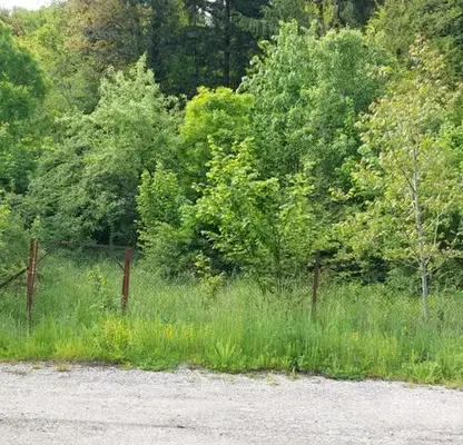 Photo 3 — Plot in Oblast Lovech, Chiflik