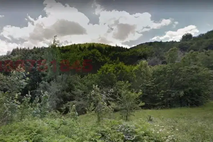 Plot in Oblast Lovech, Chiflik