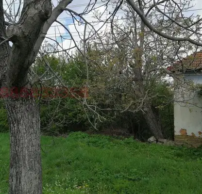Photo 5 — Plot in Oblast Lovech, Dobrevci