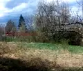 Снимка 3 — Парцел в Ловеч, с. Добревци