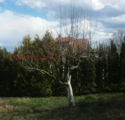 Photo 4 — Plot in Oblast Lovech, Dobrevci