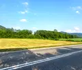 Снимка 4 — Парцел в Ловеч, с. Добродан