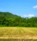 Парцел в Ловеч, с. Добродан