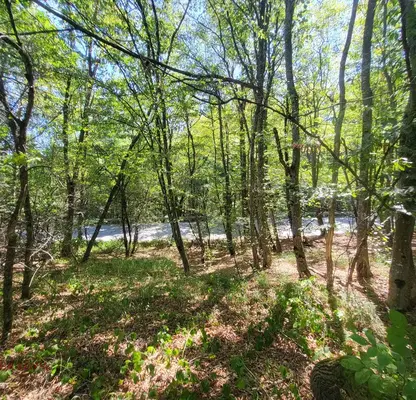 Photo 3 — Plot in Oblast Lovech, Drashkova Polyana