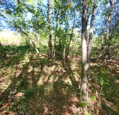 Photo 4 — Plot in Oblast Lovech, Drashkova Polyana