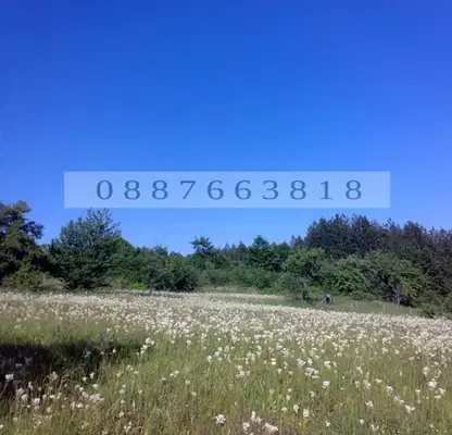 Снимка 2 — Парцел в Ловеч, с. Драшкова поляна