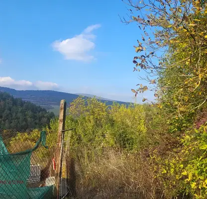 Photo 4 — Plot in Oblast Lovech, Dylbok Dol