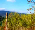 Снимка 5 — Парцел в Ловеч, с. Дълбок дол