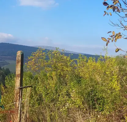 Photo 5 — Plot in Oblast Lovech, Dylbok Dol